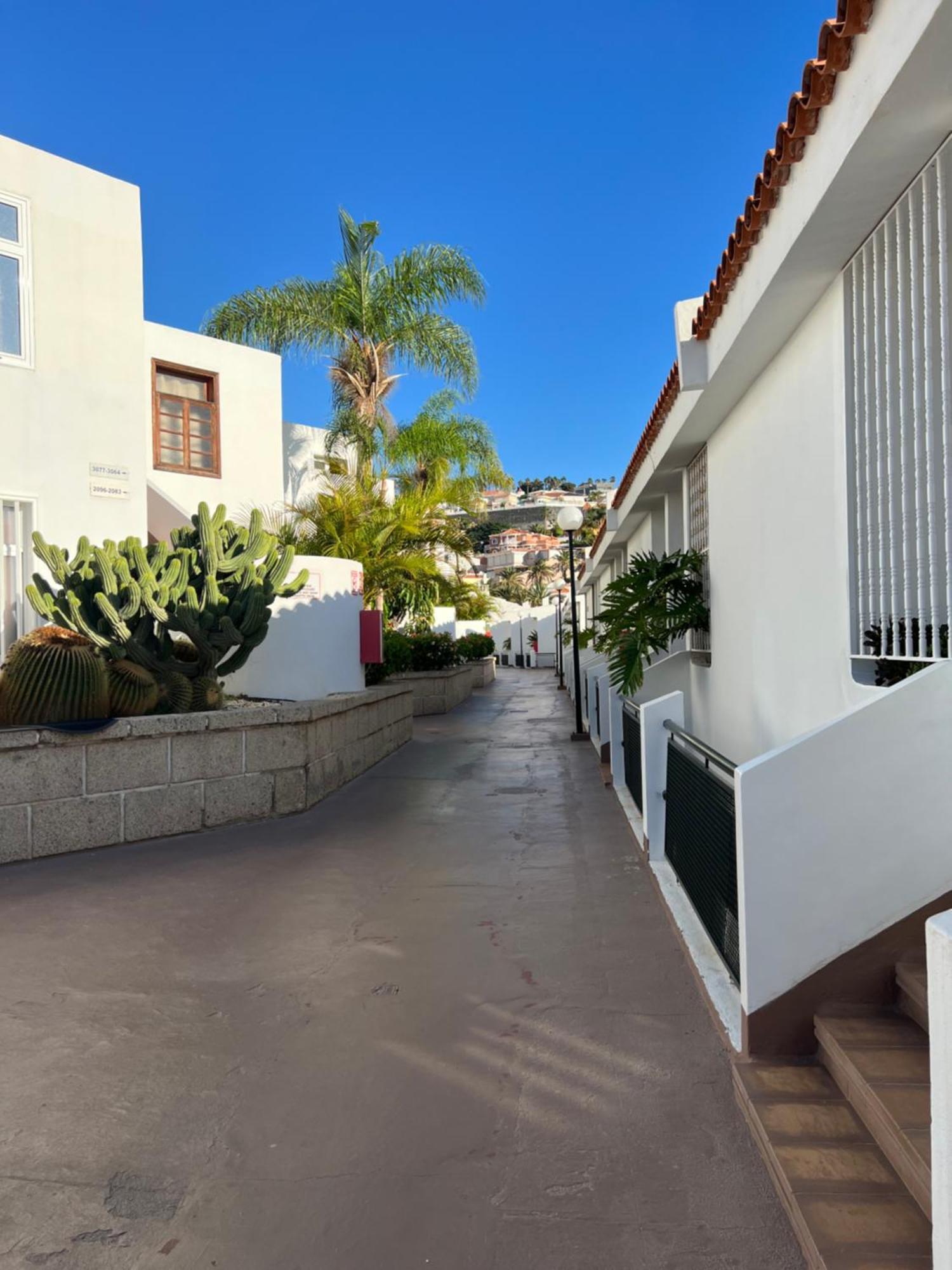 Lovely Sunny Apartment Costa Adeje Dış mekan fotoğraf