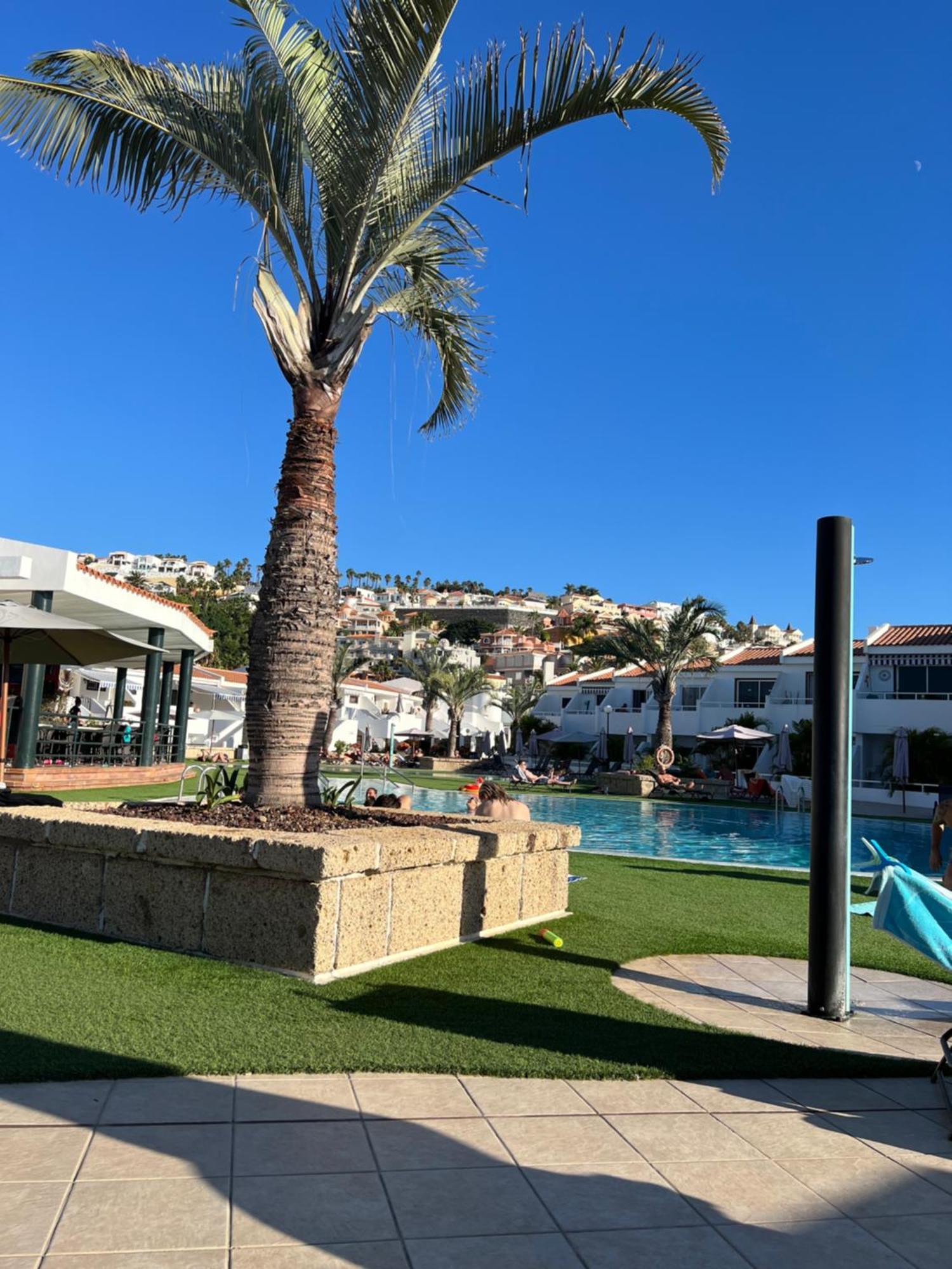 Lovely Sunny Apartment Costa Adeje Dış mekan fotoğraf
